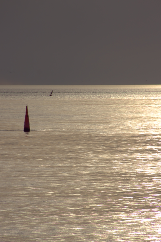 Amrum - Eine Winterreise