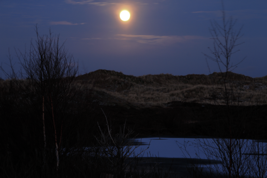 Amrum - Eine Winterreise