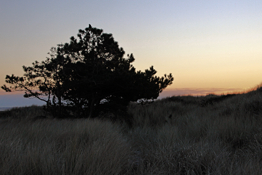 Amrum - Eine Winterreise