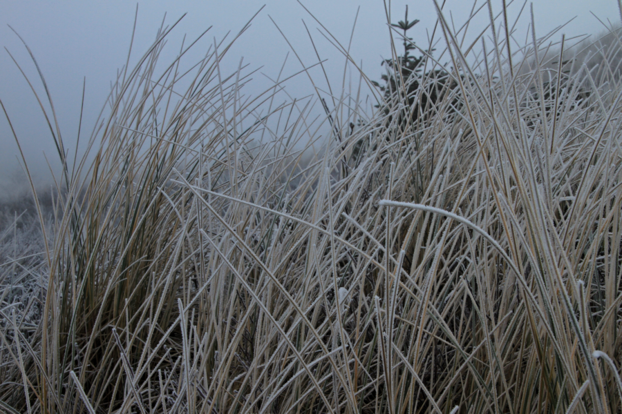 Amrum - Eine Winterreise