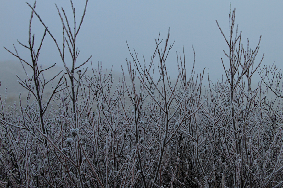 Amrum - Eine Winterreise