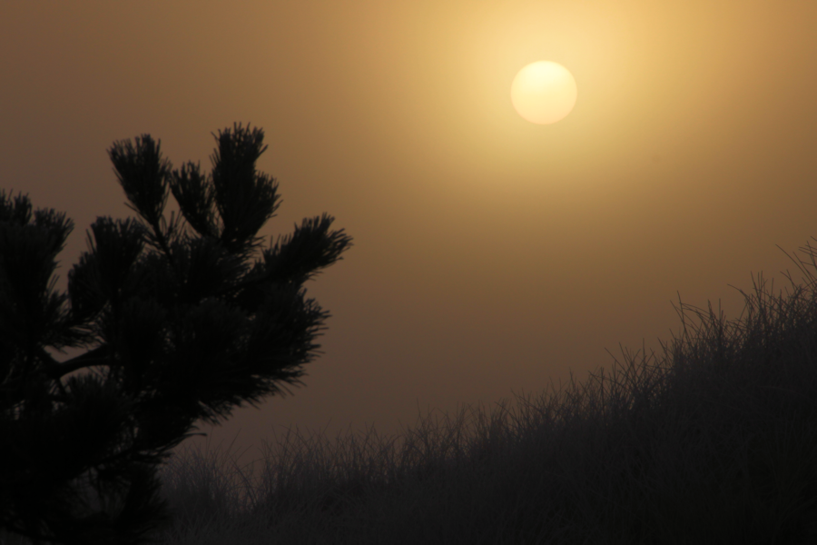 Amrum - Eine Winterreise