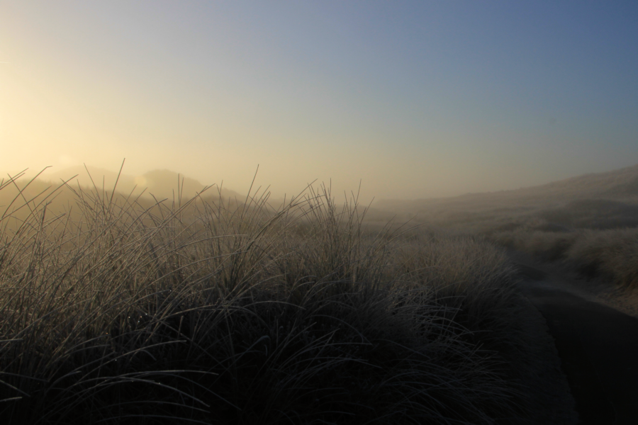 Amrum - Eine Winterreise