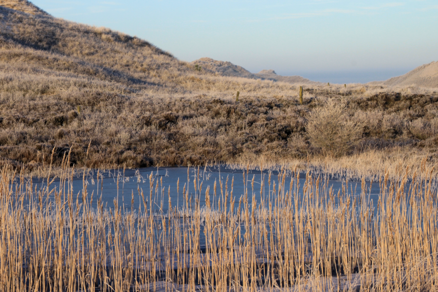 Amrum - Eine Winterreise