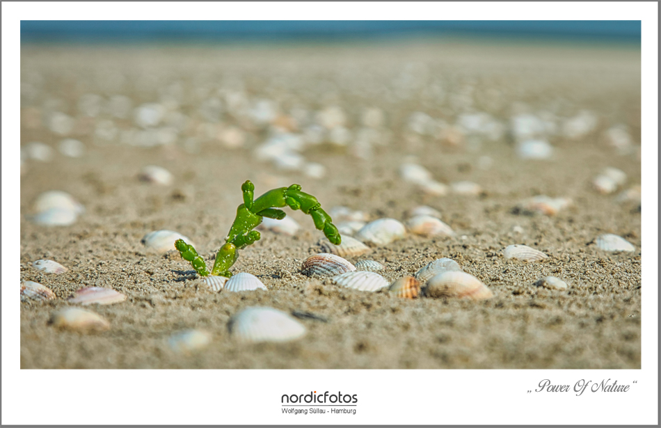 Power of Nature